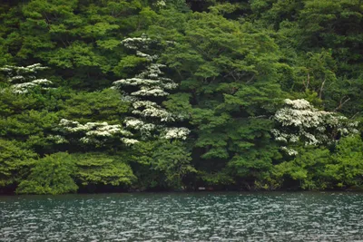 DSC_3746 (Large).JPG